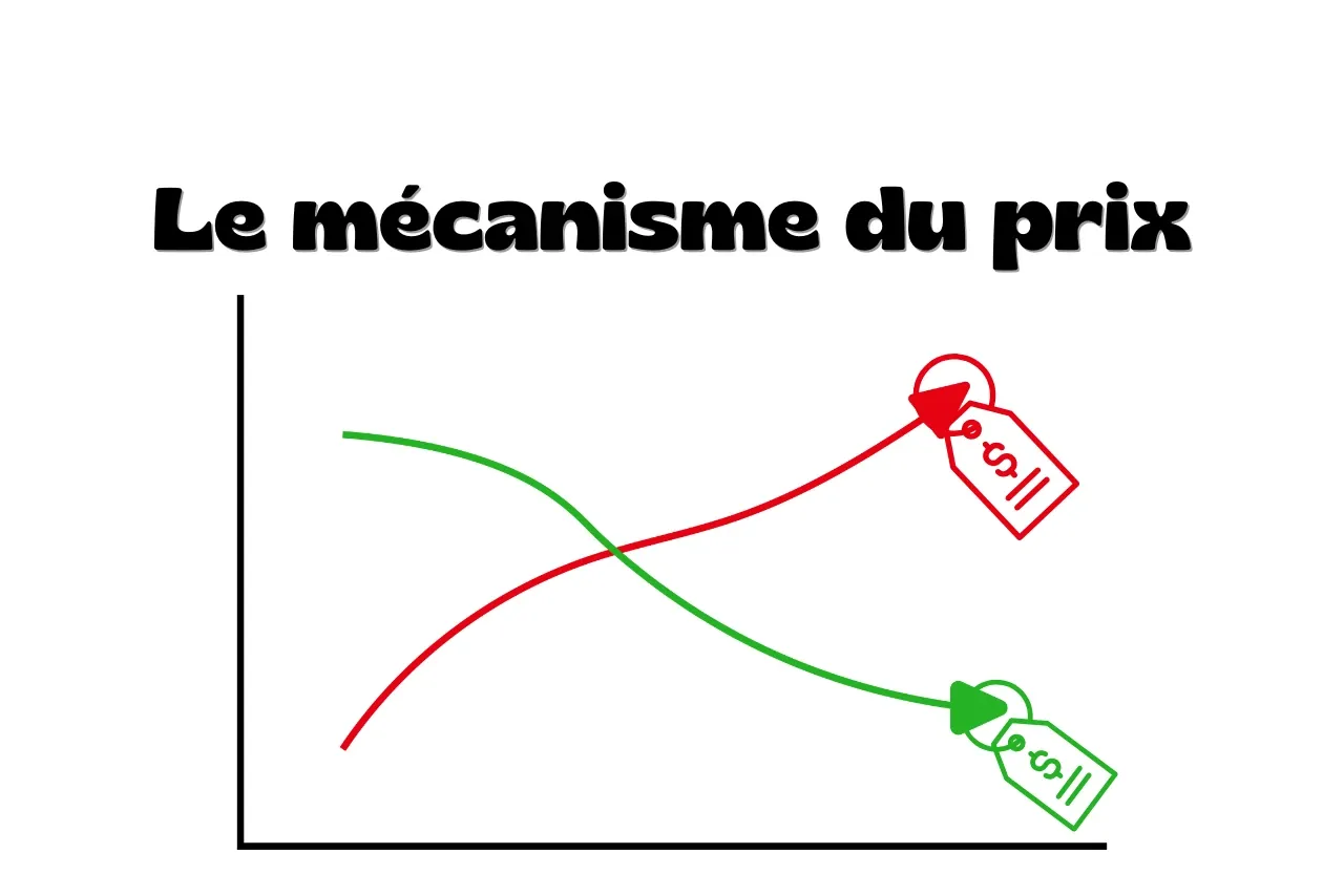 Mécanismes du prix en trading : offre, demande et carnet d’ordres