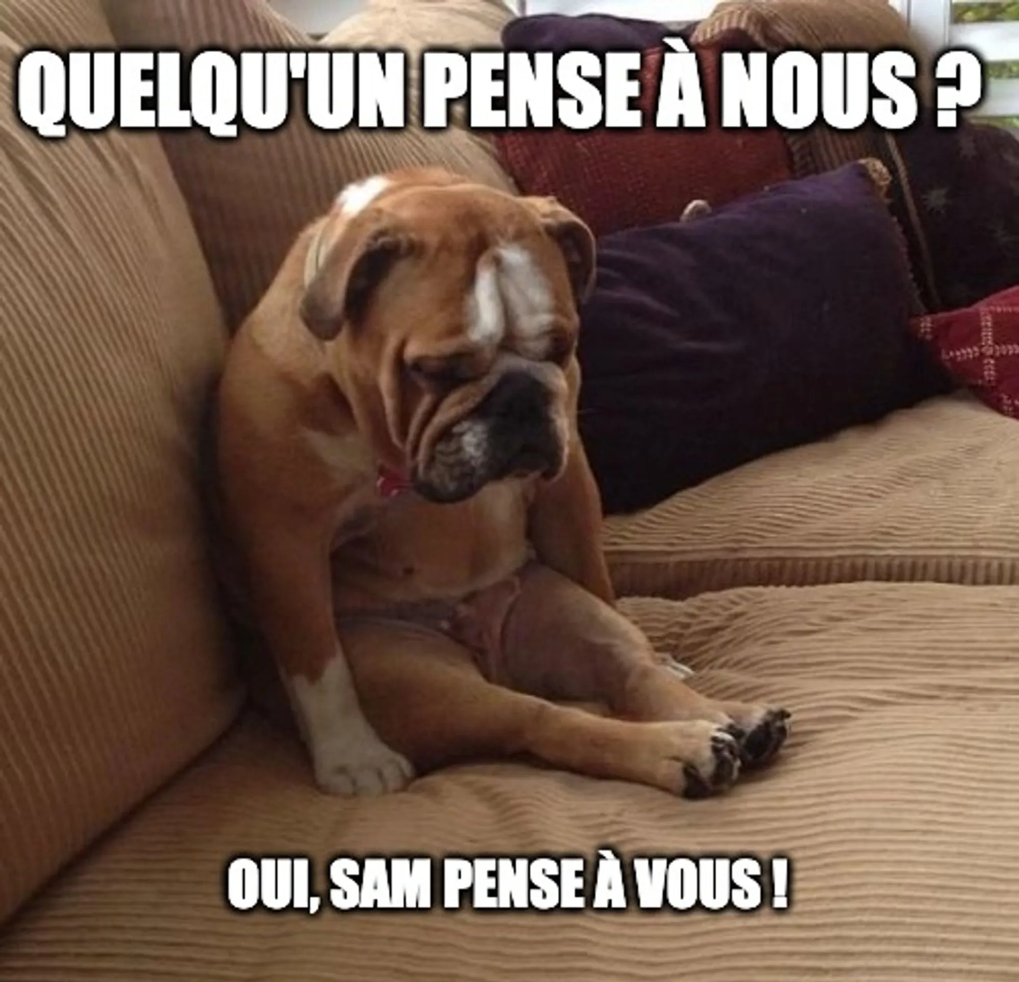 Miser uniquement sur l’instinct : pourquoi ça peut coûter cher